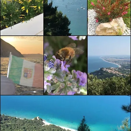 Emozione Marina - Fronte Mare *