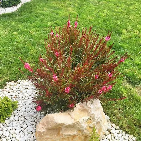 Emozione Marina - Fronte Mare *