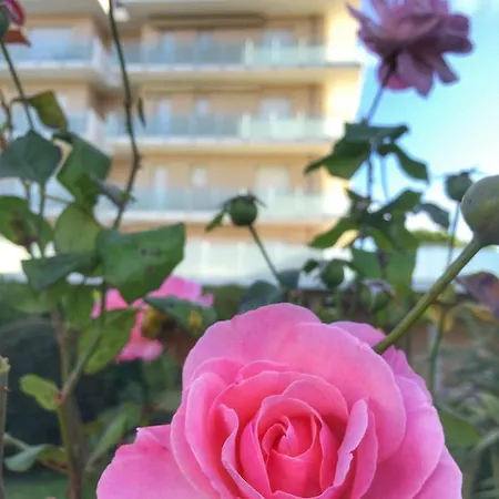 Emozione Marina - Fronte Mare Marcelli